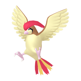 Pidgeotto Normal Form