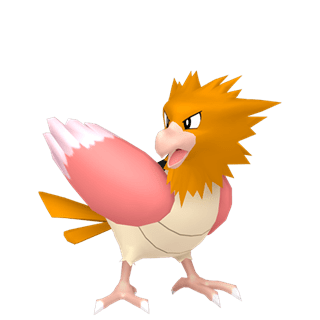 Spearow Normal Form