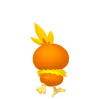 Torchic Male Form